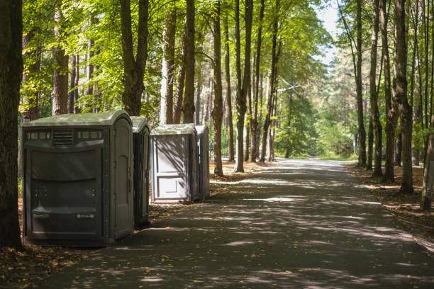 Reliable Shepherd, MI porta potty rental Solutions